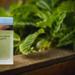 Who Owns Skinceuticals