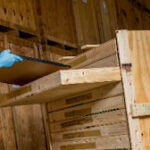 Preserving Artistic Value Through Professional Art Storage