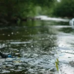 How Choosing Professional Environmental Cleanup Services Improves Sustainability