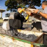 Streamlining Business Waste Removal for Operational Efficiency