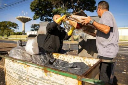 Streamlining Business Waste Removal for Operational Efficiency